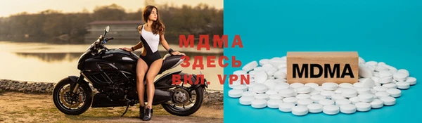 прущие грибы Алзамай