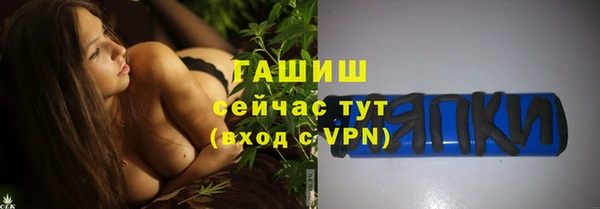 прущие грибы Алзамай