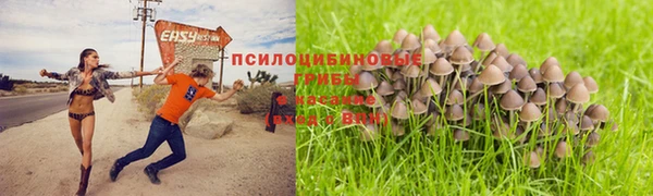 mdpv Алексин