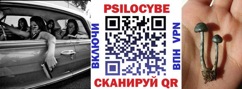 Галлюциногенные грибы Psilocybine cubensis  купить   hydra зеркало  Рошаль 